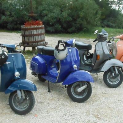 Les vendanges: les Vespa