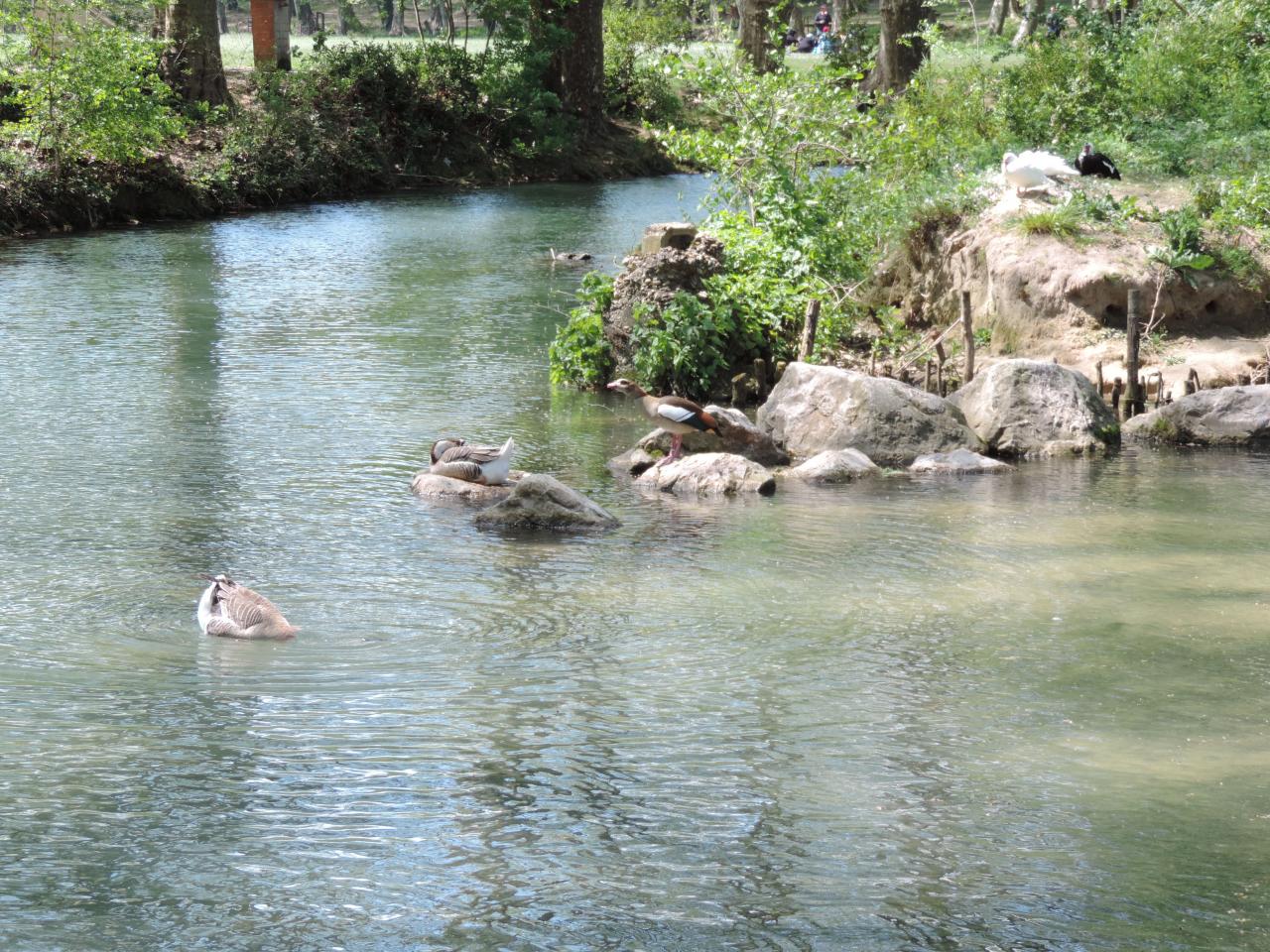 24 avril, Fontaine d'Eure & musée 1900