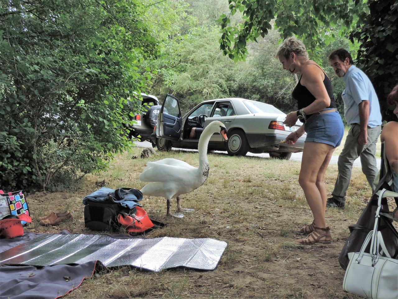 9 juillet Uzès