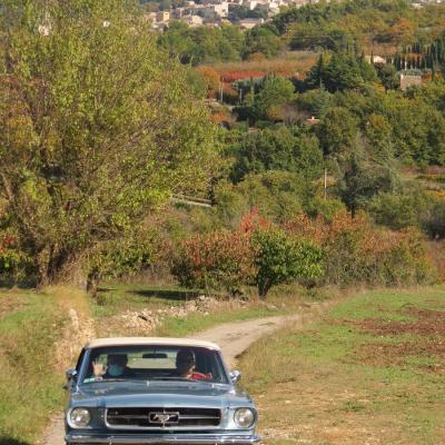  24 Octobre - Les villages du Lubéron