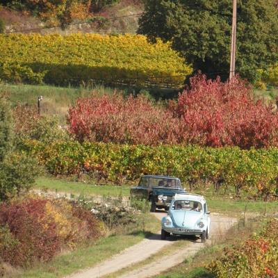  24 Octobre - Les villages du Lubéron