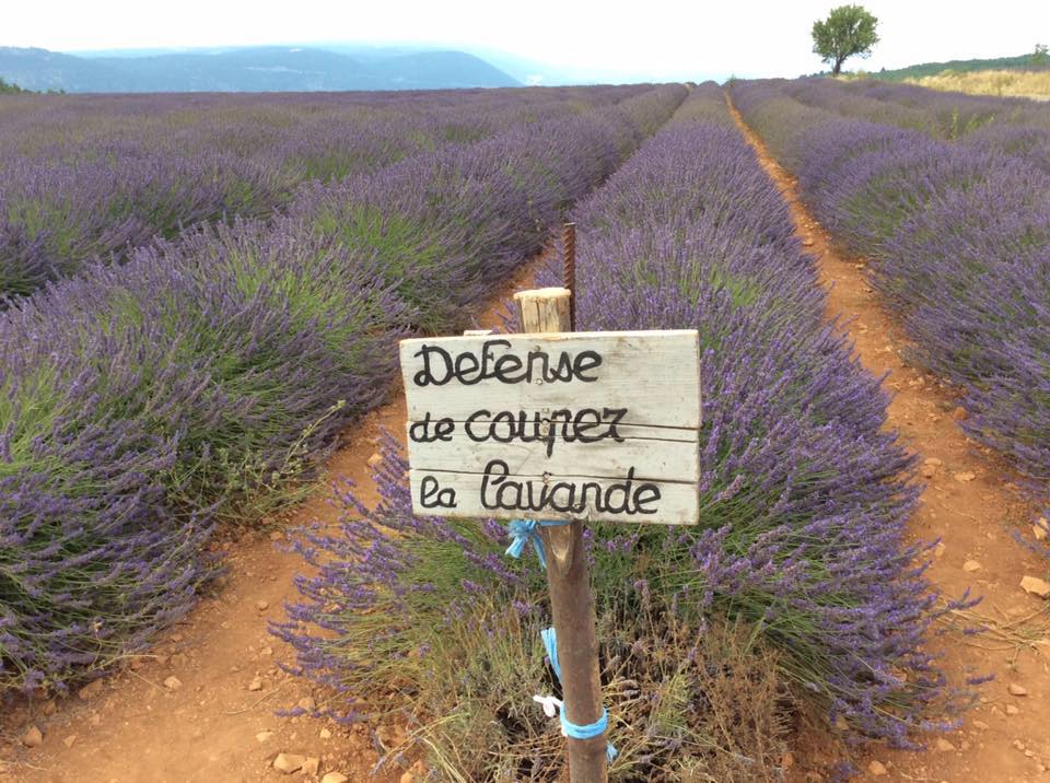 C'est clair !!!!!
