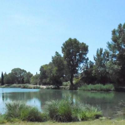 1 juin 2014 Lac de Vallabrègues