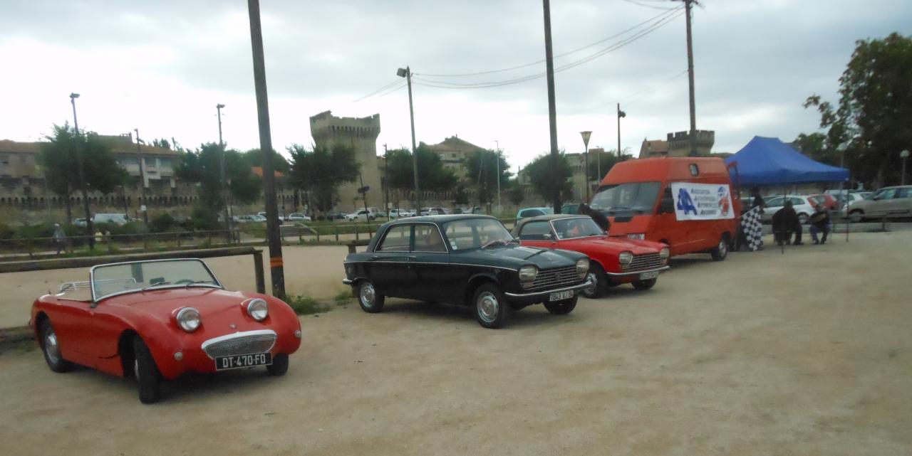 Rassemblement du 13 septembre 2015
