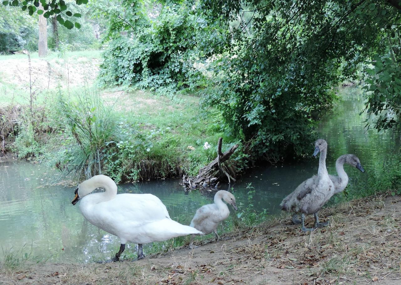 9 juillet Uzès