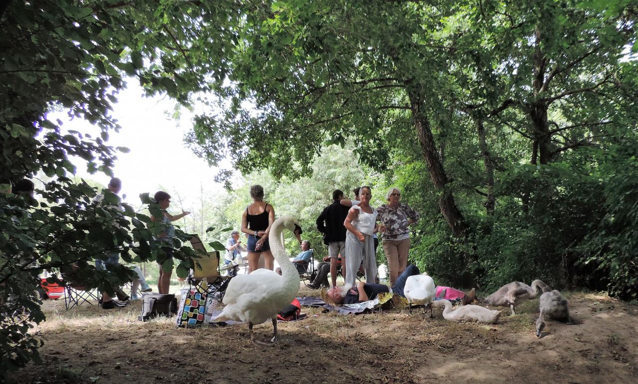 9 juillet Uzès