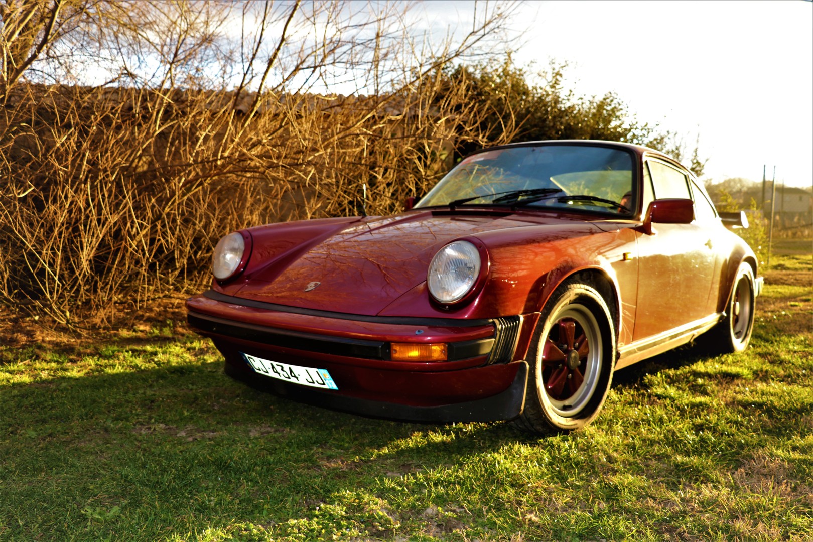 Porsche 911 Carrera