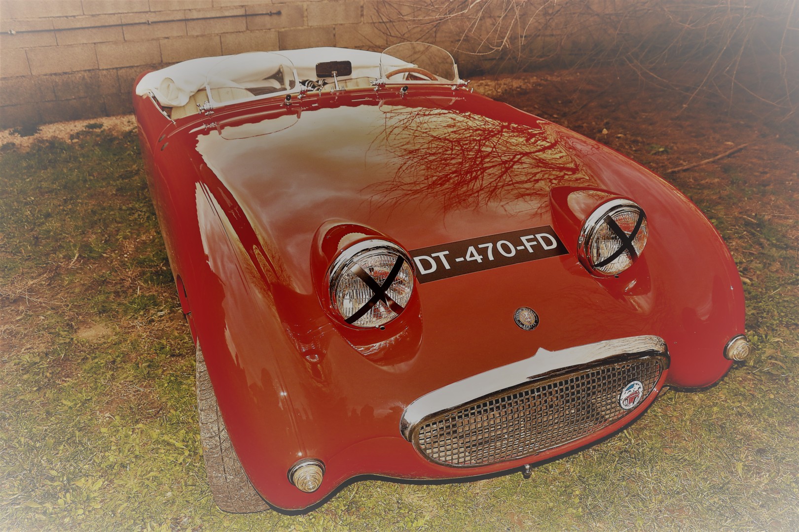 Austin Healey frogeye