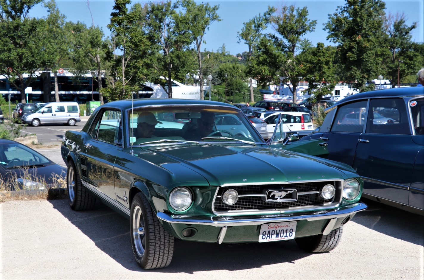 Ford mustang
