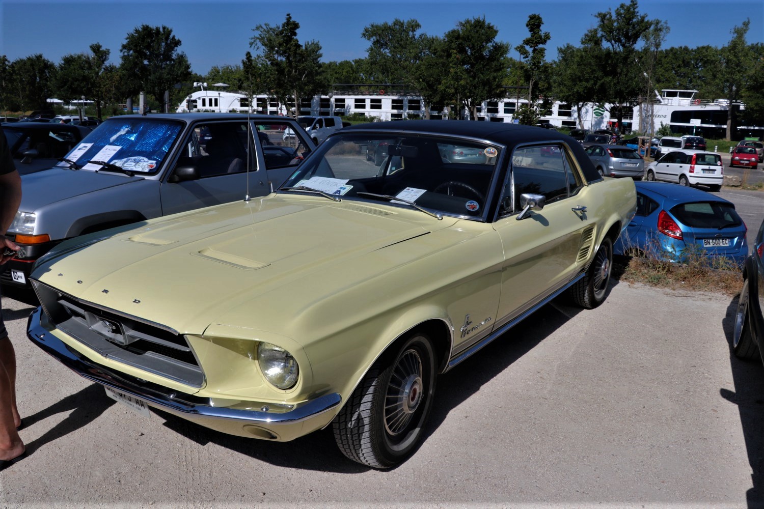 Ford mustang