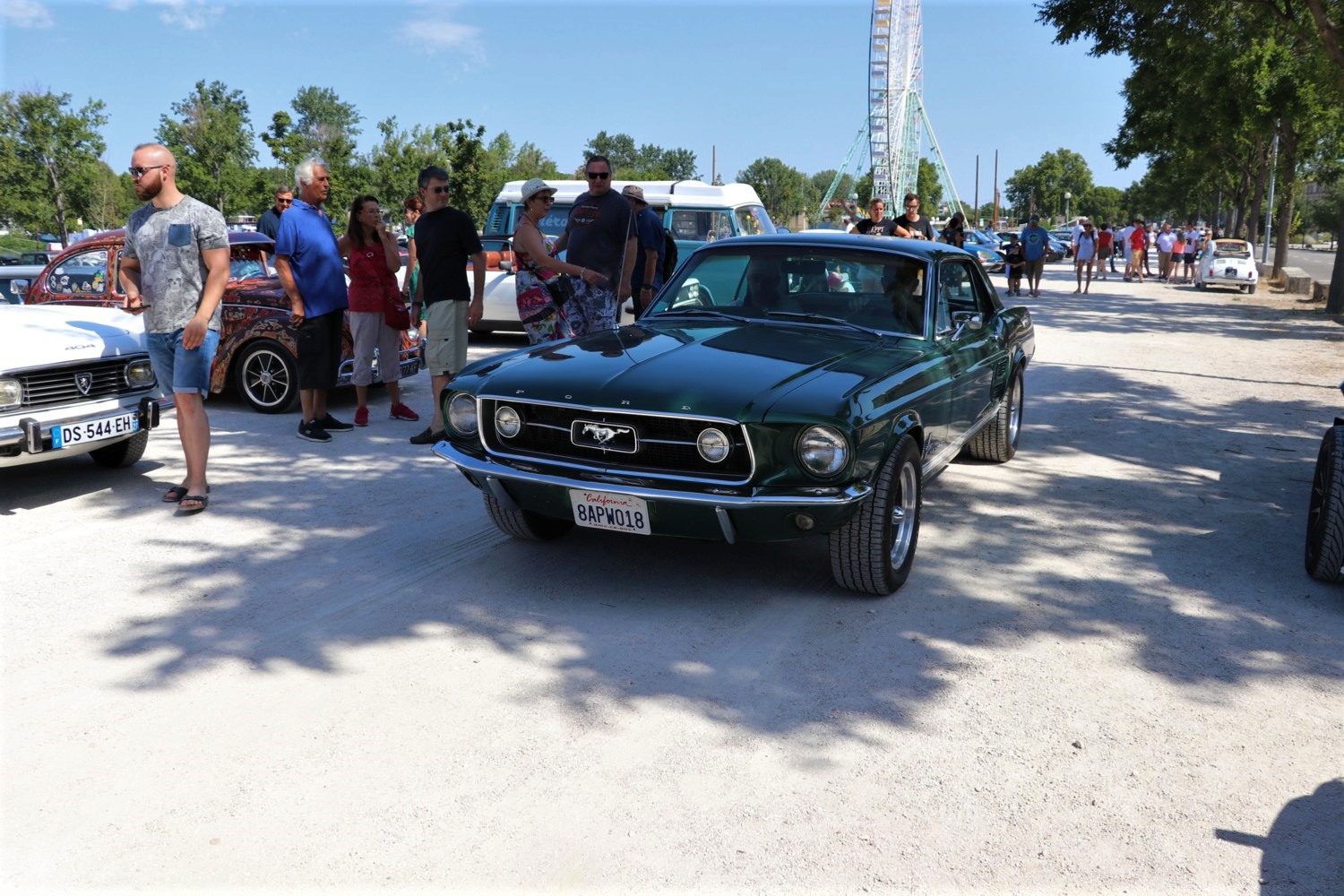 Ford mustang